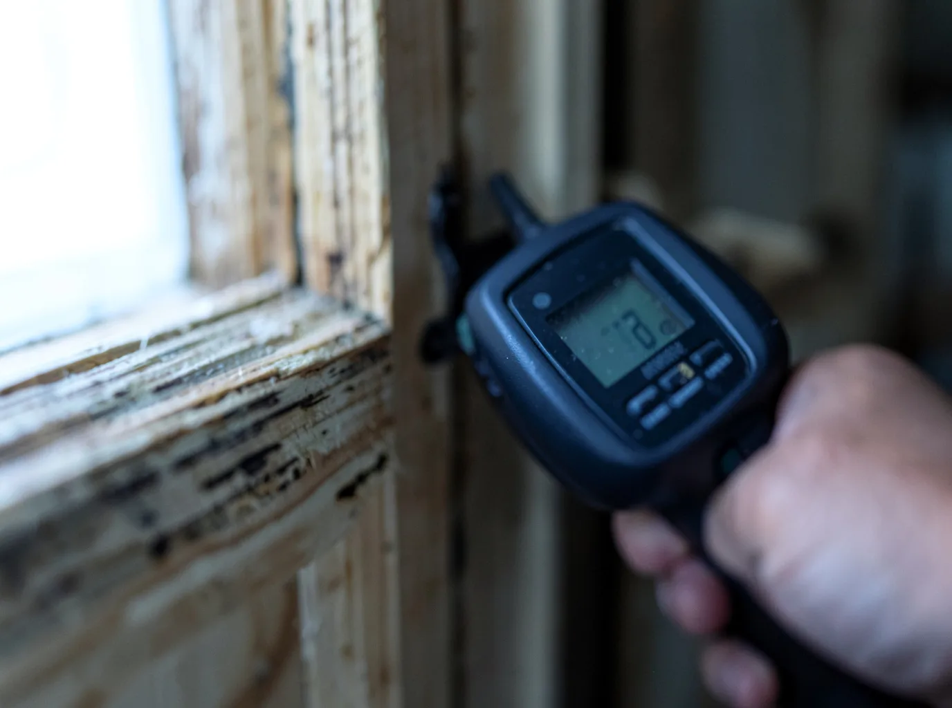 Moisture Inspection And Documentation in Bricelyn, MN